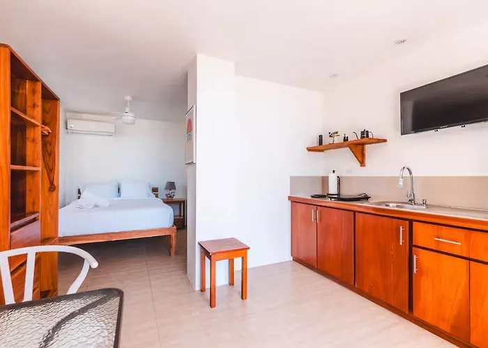 Buena Vista Ocean View Apartments Santa Teresa