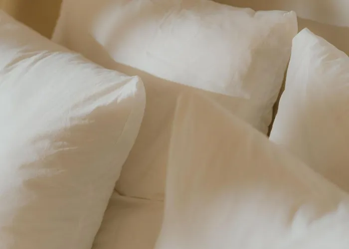 Boutique Apartments Freiburg - Eva
