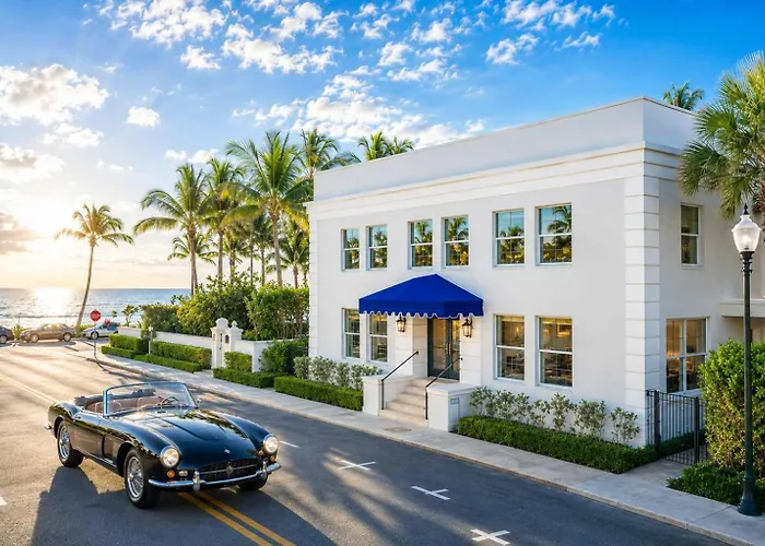 The Palm Beach House - Tropical