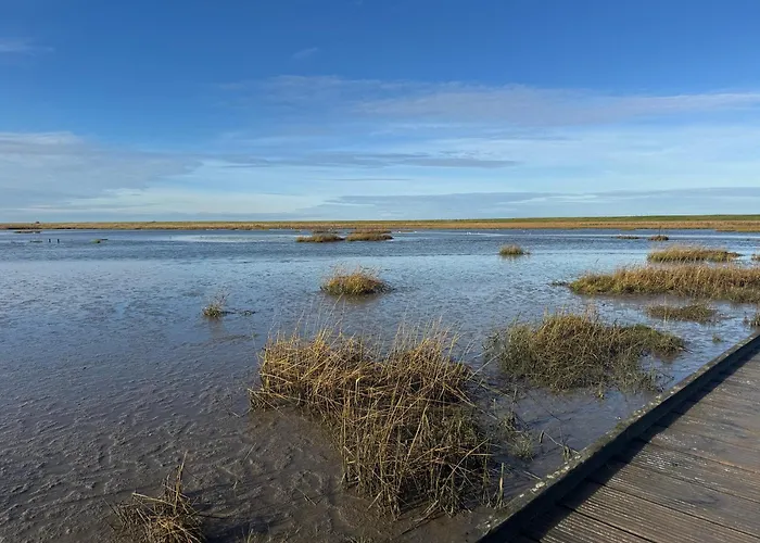Ferienwohnungen Briesenick-Radde Fewo Deichblick Tossens