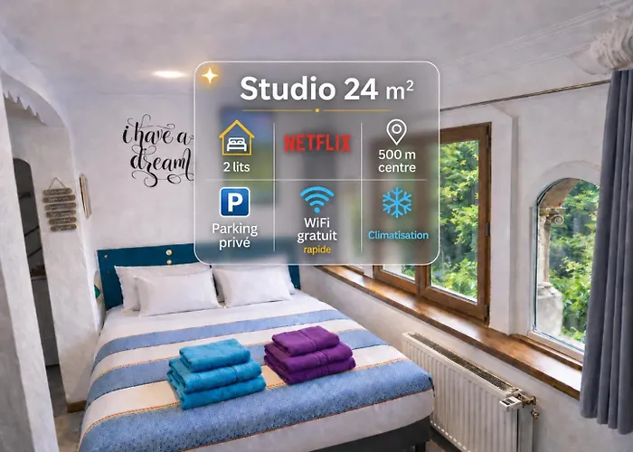 Studio Premium Cosy Classe 24M2, 2 Lits, Proche Centre, Netflix, Climatisation, Parking Prive