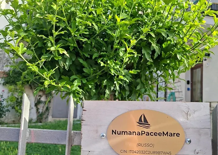 Numanapaceemare