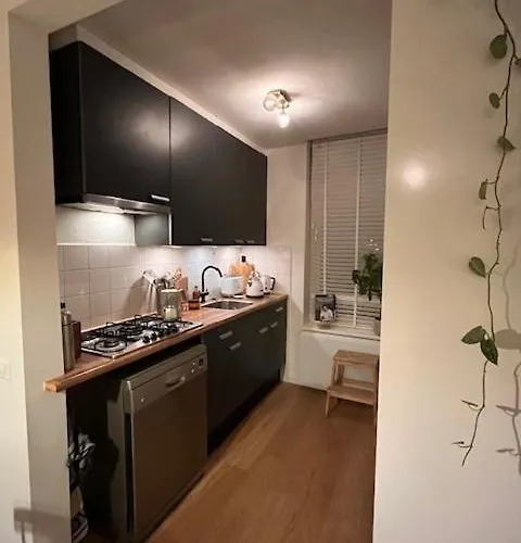 Tiny House Delft