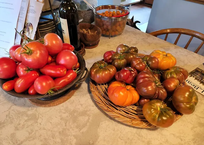 The Roost At Hidden Owl Farmstead - Luxury 1 Bdrm Cottage Near Wineries And Lake