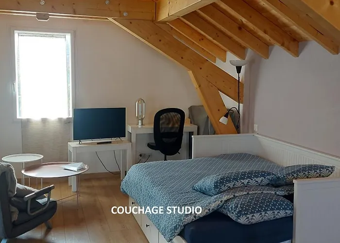 Appartements Confort Entre Lac Leman Et Chamonix