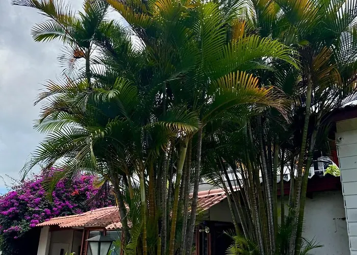 Escazu Modern Apt With Ac & Great Location
