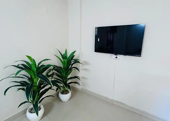 Homely Stay