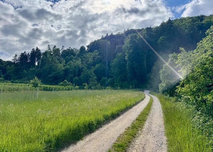Solostudio - Ferienwohnung Mit Parkplatz Bei Radolfzell Am Bodensee