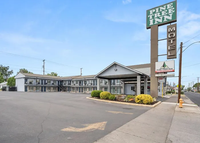 Pine Tree Inn