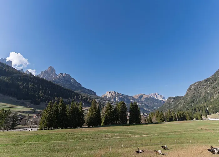 Appartamenti Pollam By Ama Val Di Fassa
