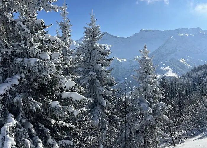 Chalet Mittaghorn
