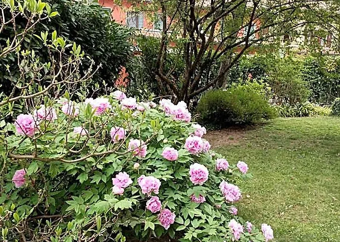 Camera nella Casa dei Tigli