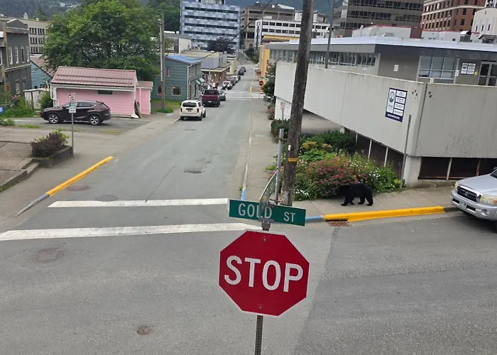 Downtown Juneau Gold Street Inn
