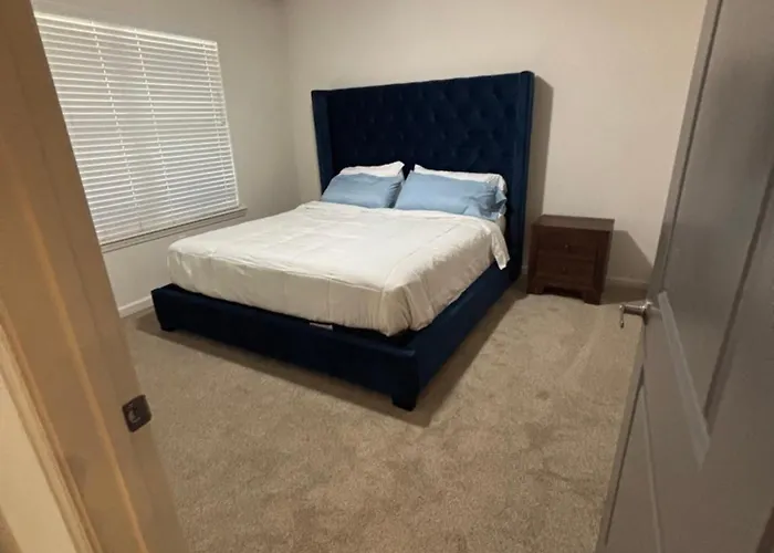 King Blue Oasis