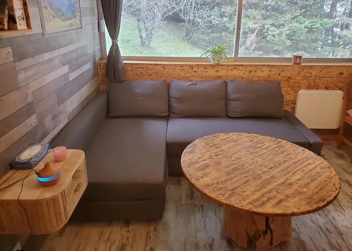 Super Besse 2 Chambres Style Chalet Montagne