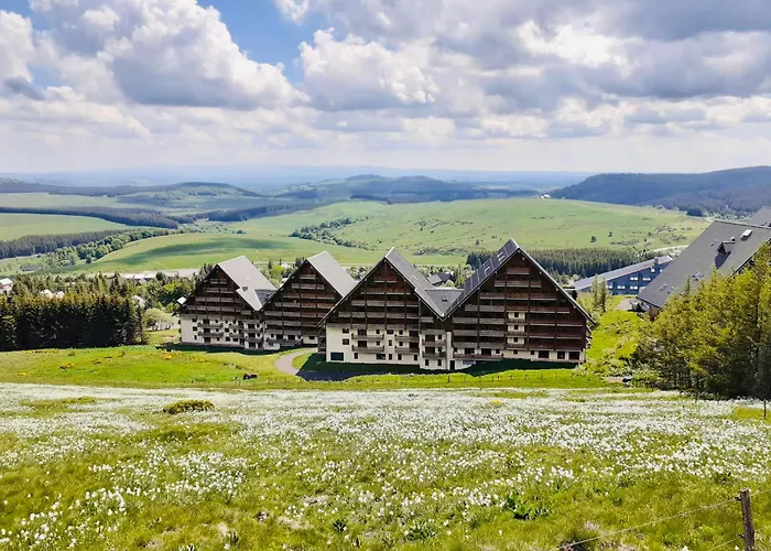 Le Nid Du Sancy - Super-Besse