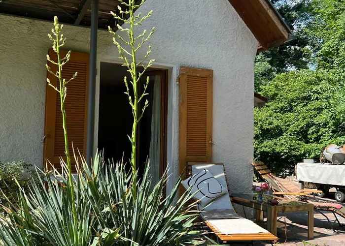 Allgaierart-House