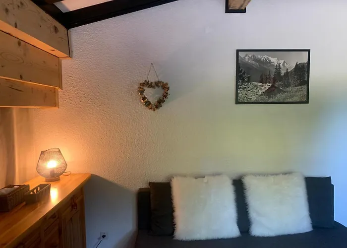 Bouquetin Studio Cosy
