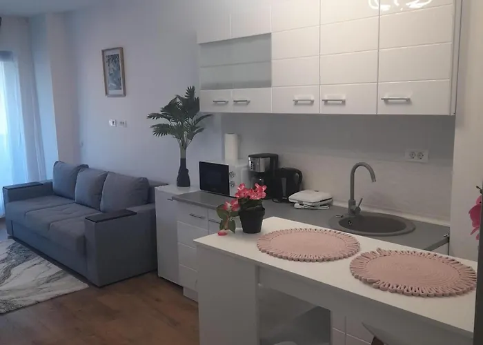 Apartament Camelia