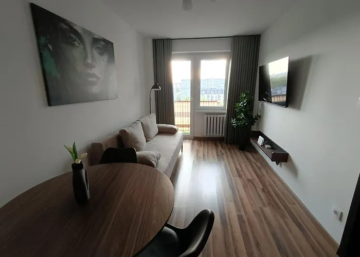 Piotrkow Trybunalski Modern Apartment By Bookinghost