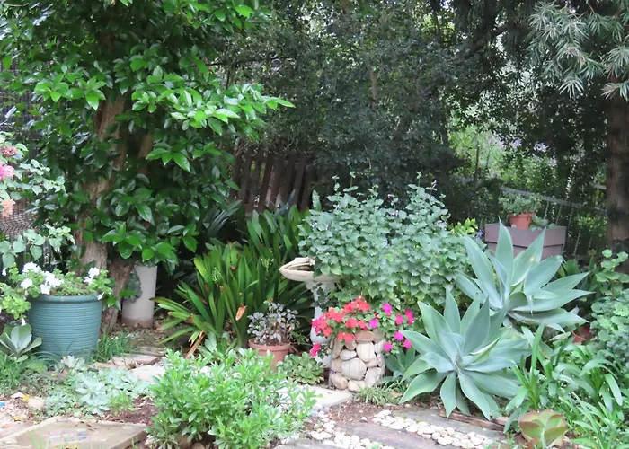 Garden Joy