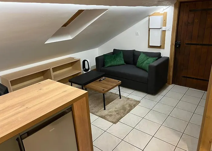 Appartement Avec Acces Facile A La Gare Pour Aller A Geneve