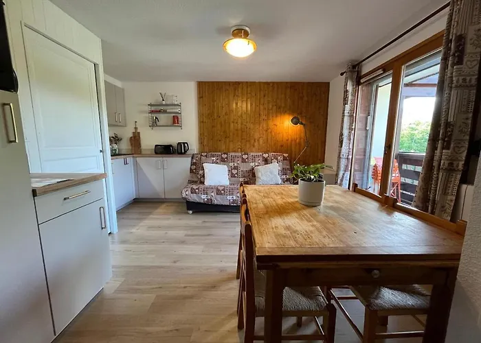 Appartement Tout Equipe, Balcon - Proche Lac Bleu