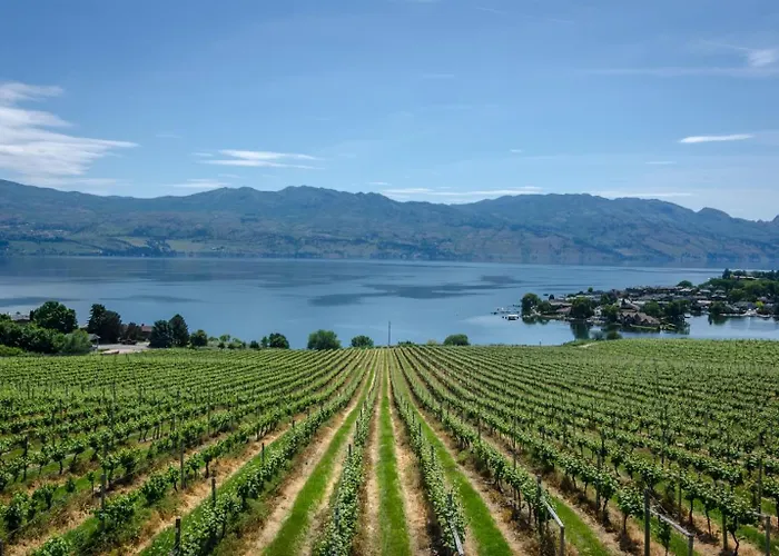 Private Suite, Panoramic Views, Hot Tub, Wineries