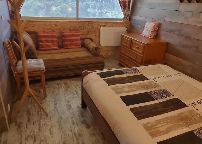 Super Besse 2 Chambres Style Chalet Montagne