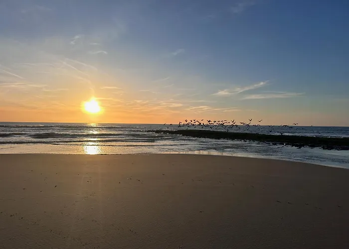 Strandappartement Sonneduyn