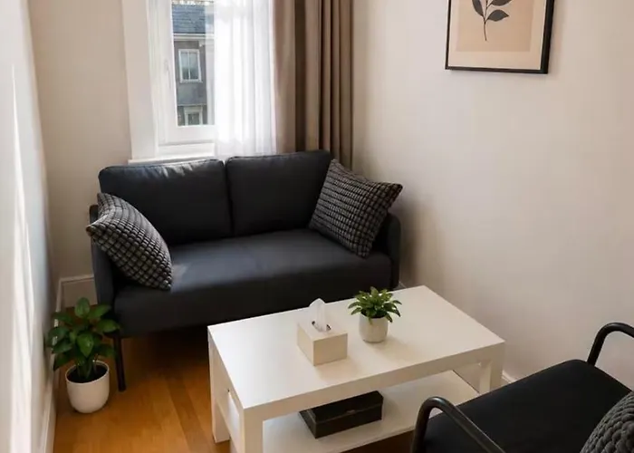 Modern 2 Bedroom Flat Near Wembley Stadium
