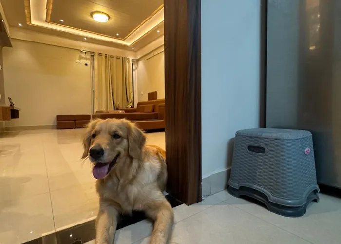 Luxury Stay In A Flat