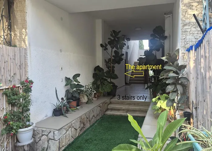 3 Stairs Only To Cozy Flat On Hillel St