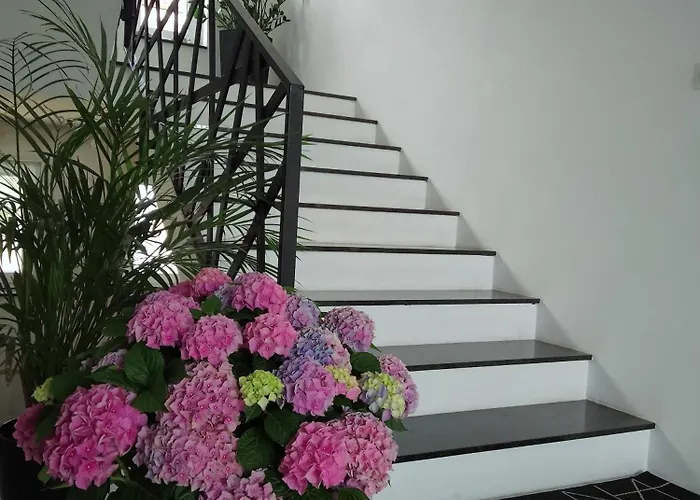 Apartamenty Mistral