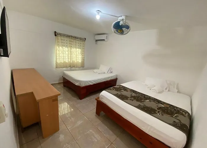 Villa Valencia - Gran Apto 7Pax Con Ac - Explora El Sur