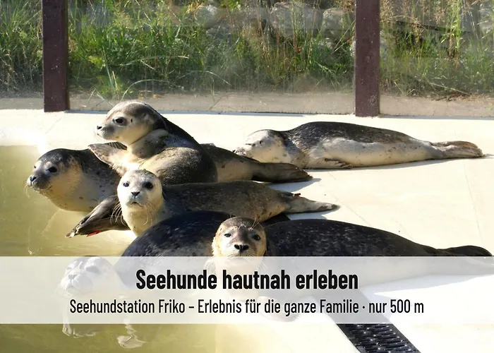 Nordsee-Auszeit - Fewo Hafenruh Friedrichskoog - Haustierfrei - 500 M Zur Seehundstation - Ideal Fuer Familien & Paare