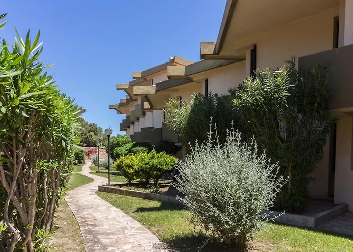 Begonia 3 - Terza Spiaggia