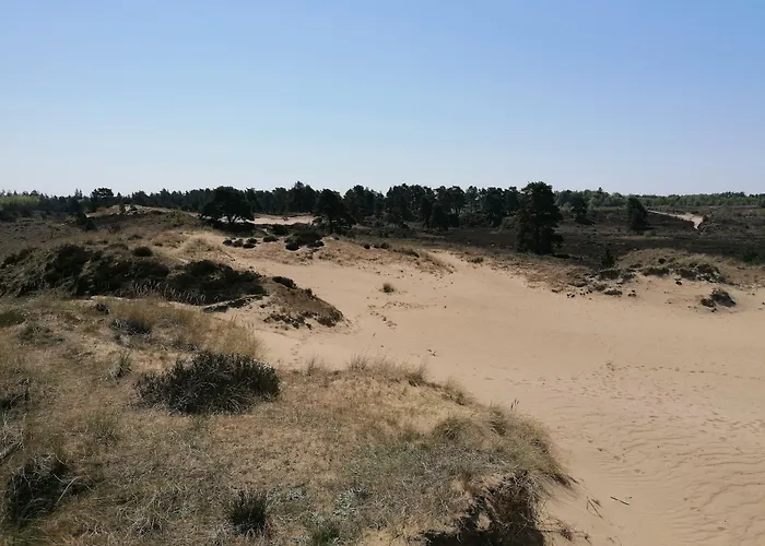 Aagaarden