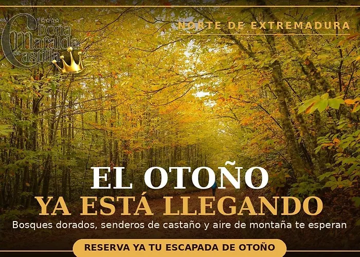  Corazón Del Jerte