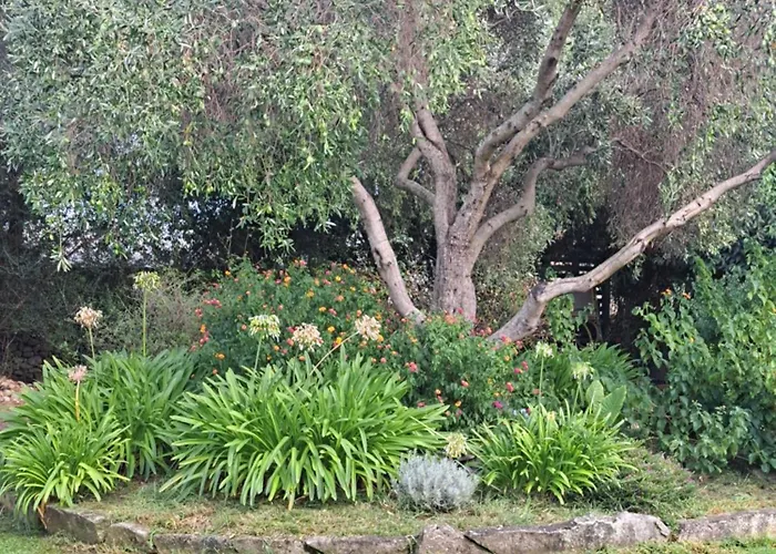 Le Jardin De Domi