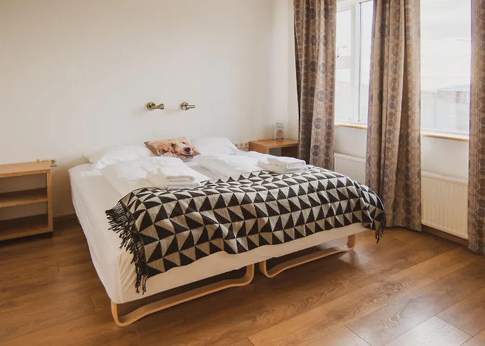Framtid Apartments And Holiday Homes