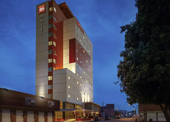 Ibis Imperatriz