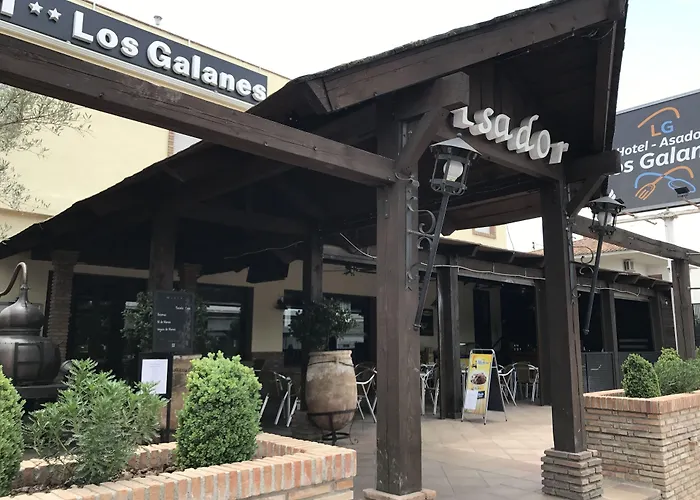  Galanes