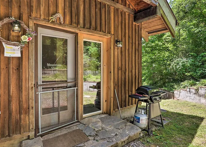 Pet-Friendly Leicester/Asheville Mtn View Escape