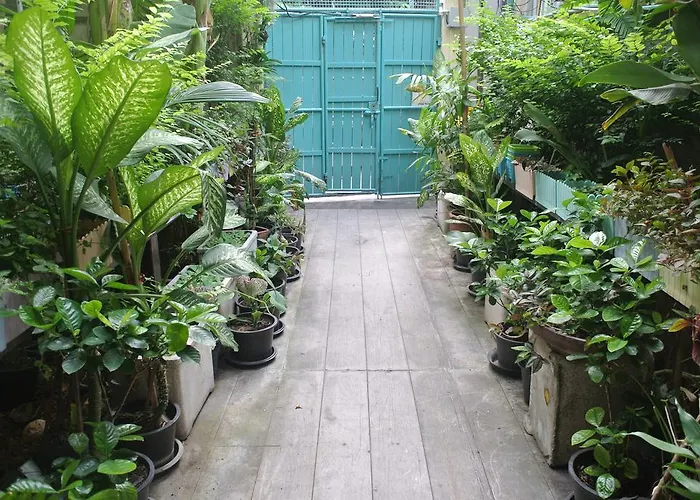 Eco House