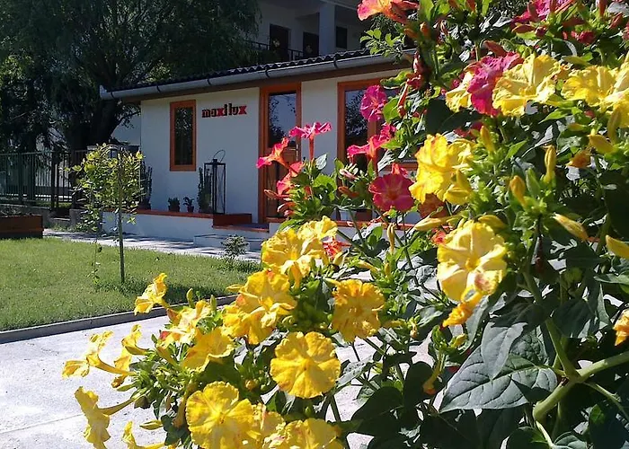 Maxilux Studio