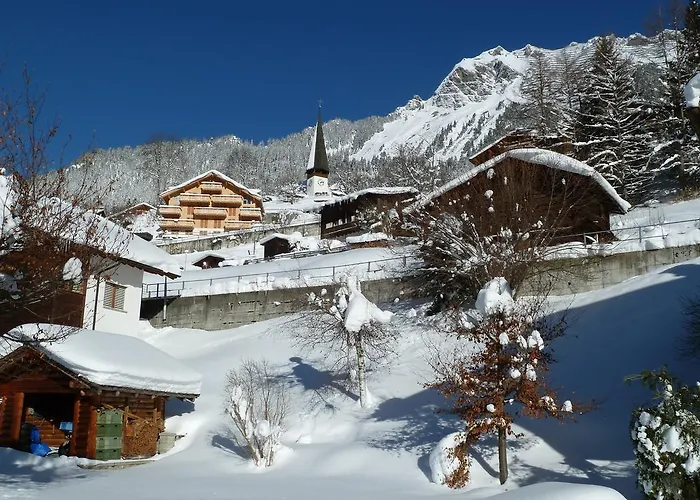 Chalet Gerbera