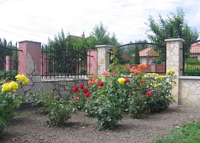 Bodzavirag Apartman