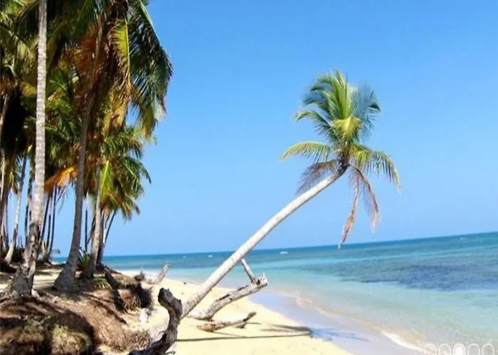 Caoba