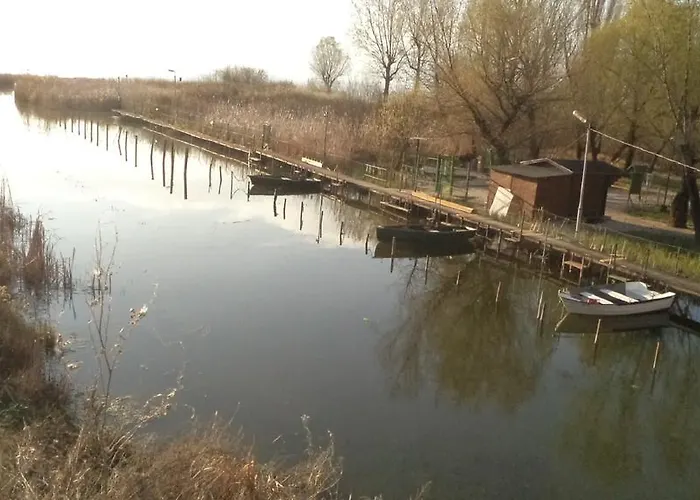Molni